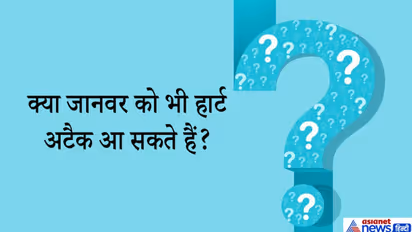 दिमाग में तीर जैसे चुभेंगे IAS इंटरव्यू के ये 10 सवाल...शॉर्प माइंड वाले लॉजिक से निकाल लेंगे सही हल