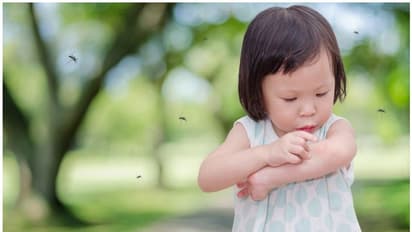 കൊതുകുകളിൽ നിന്ന് കുട്ടികളെ സംരക്ഷിക്കാൻ ചെയ്യേണ്ടത്...