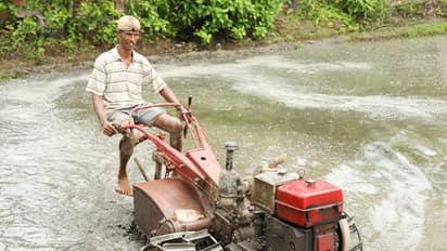 ಪಾಳು ಬೀಳಲಿದ್ದ 60ಕ್ಕೂ ಅಧಿಕ ಭತ್ತದ ಗದ್ದೆಗಳೀಗ ಹಸಿರು ಹಸಿರು..!