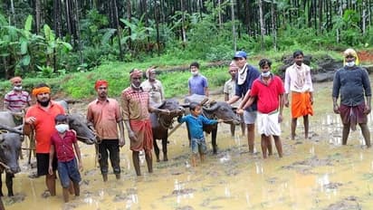 ಮರಳಿ ಮಣ್ಣಿಗೆ..! ಕೆಸರಗದ್ದೆಯಲ್ಲಿ ಯುವಕರ ದಂಡು, ಭತ್ತದ ಗದ್ದೇಲಿ ಫುಲ್ ಬ್ಯುಸಿ