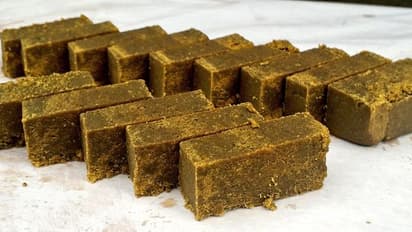 ஒரே நாளில் கொரோனாவில் இருந்து குணமடைய வைக்கும் மூலிகை மைசூர்பா..? தமிழகத்தில் அசத்தல்..!