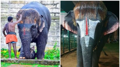 സമൂഹമാധ്യമങ്ങളില് വീണ്ടും വൈറലായി 'ബോബ് കട്ട് സെങ്കമലം'