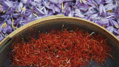 കുങ്കുമപ്പൂവ് നട്ടുവളര്ത്തിയിട്ടുണ്ടോ? ജൂണ് മുതല് സെപ്റ്റംബര് വരെ യോജിച്ച സമയം