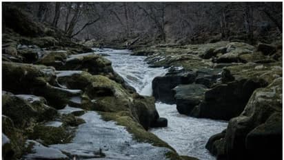 അപകടം പതിയിരിക്കുന്ന അരുവി, വീണുപോയാല് കാത്തിരിക്കുന്നത് മരണം...