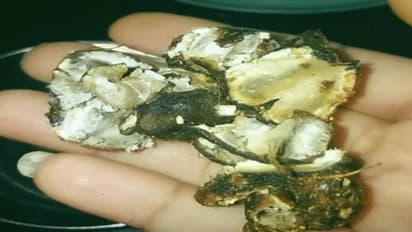 लाख कोशिशों के बाद घर पर नहीं आ रहा पानीपुरी वाले भैया के हाथों का स्वाद, जरूर आप भी कर रहे हैं ये 1 गलती