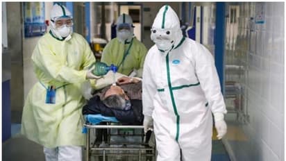 കൊവിഡ് രോഗികളുടെ മരണത്തിന് പലപ്പോഴും കാരണമാകുന്നത് വൈറസല്ല, അവരുടെ പ്രതിരോധ സംവിധാനം തന്നെയെന്ന് പഠനം