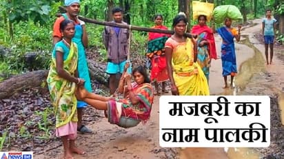 3 किमी का रास्ता देखकर एम्बुलेंस ड्राइवर के फूल गए हाथ-पैर..तब बल्लियों पर लटकाकर गर्भवती की हुई 'नैया पार'