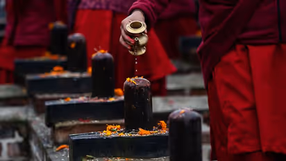 শ্রাবণ শিবরাত্রি, জেনে নিন চতুর্দশী তিথির সময়, পুজো বিধি ও ব্রত পালন