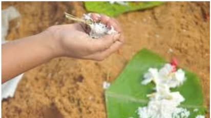 ஆண் இல்லாத வீட்டில் பெண் தர்ப்பணம் செய்யலாமா? அப்படி செய்தால் என்ன ஆகும், வேதம் சொல்வது என்ன..?