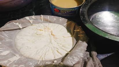 क्या कभी आपने खाया है भाप में पकाया दही? मात्र 3 चीजों से पलभर में हो जाता है तैयार