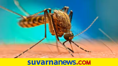 ಕೋವಿಡ್‌, ಝೀಕಾ ಜತೆ ಈಗ ಡೆಂಘೀ, ಮಲೇರಿಯಾ ಹೆಚ್ಚಳ..!