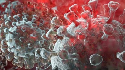 2021ഓടെ ഇന്ത്യയിലെ പ്രതിദിന കൊവിഡ് കേസുകൾ 2.87 ലക്ഷമാവാൻ സാധ്യതയെന്ന് റിപ്പോർട്ട്