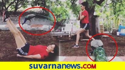 ನವಿಲಿನ ಜೊತೆ ವರ್ಕೌಟ್‌ ಮಾಡೋ ಚೋಕ್ಡ್‌ ಬೆಡಗಿ ಸಯಾಮಿ ಖೇರ್!