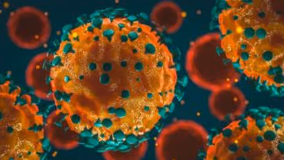 ആന്ധ്രയിൽ കൊവിഡ് മരണം 500 കടന്നു; ആകെ രോഗികളിൽ 29 ശതമാനം 6 ദക്ഷിണേന്ത്യൻ സംസ്ഥാനങ്ങളിൽ