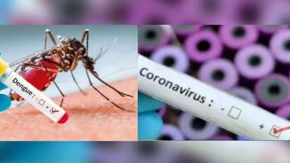 রাজ্যে প্রথম করোনা-ডেঙ্গুর জোড়া সংক্রমণ, প্রাণ হারালেন দক্ষিণ কলকাতার এক প্রৌঢ়