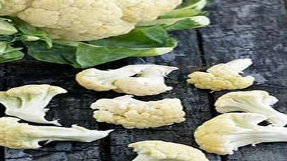 भंडारे में ऐसे बनाई जाती है आलू-गोभी की सूखी सब्जी, लहसुन-प्याज नहीं, तड़के में छिपाकर डालते हैं ये 1 चीज