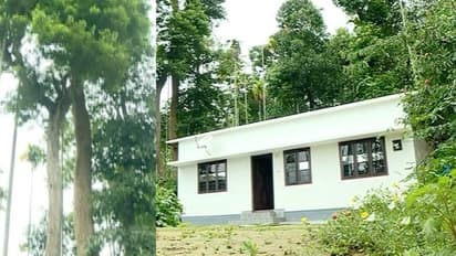 മരം വീണാൽ കിടപ്പാടം ഇല്ലാതാകും; മുട്ടാനിനി വാതിലുകളില്ല, അനക്കമില്ലാതെ അധികൃതർ