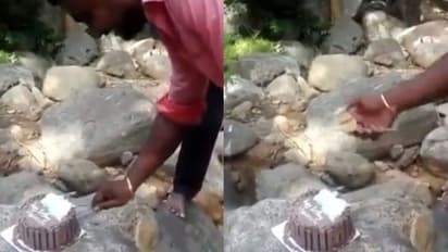 കാട്ടിനുള്ളിലെ വിവാഹവാര്‍ഷിക ആഘോഷം; ഒടുവില്‍ 'സസ്‌പെന്‍സ്'...