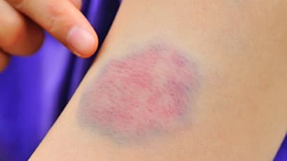 भगवान शिव ने देवी पार्वती को बताए हैं मौत के गुप्त संकेत, जानिए कब होगी किसकी मृत्यु