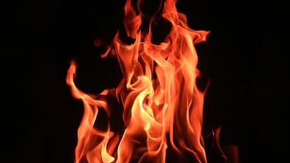 ಈ ಚಿಹ್ನೆಗಳನ್ನು ನೋಡಿದರೆ ಸಾವು ಹತ್ತಿರವಾಗಿದೆ ಎಂದರ್ಥ.. ಶಿವಪುರಾಣ ಏನು ಹೇಳುತ್ತದೆ?