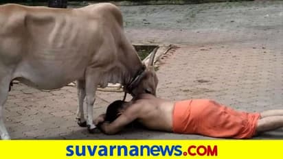 ಕಾಣಿಯೂರು ಶ್ರೀಗಳ ಗೋವಂದನೆಗೆ ನೆಟ್ಟಿಗರು ಫಿದಾ