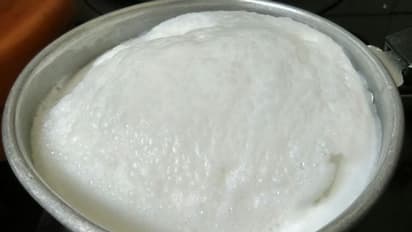 इस तरह जमाएंगे तो मार्केट से भी टाइट जमेगी दही, बस दूध के साथ करना होगा 1 छोटा-सा काम