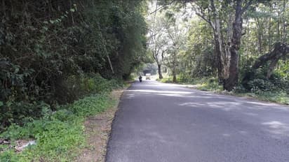 വയനാട്ടിലെ വനപാതകളില് വാഹനങ്ങളുടെ വേഗം നിയന്ത്രിക്കില്ല; തീരുമാനം മാറ്റി വനംവകുപ്പ്