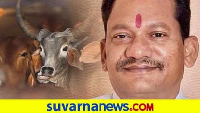 ಗೋಹತ್ಯೆ ನಿಷೇಧ ಕಾಯ್ದೆ ಕಟ್ಟುನಿಟ್ಟು ಜಾರಿ: ಸಚಿವ Prabhu Chauhan