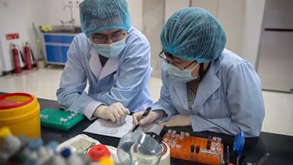 আরও একবার 'বিগেস্ট সিঙ্গল ডে স্পাইক', করোনা-চূড়ায় কাছাকাছি পৌঁছে গিয়েছে ভারত