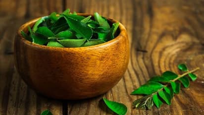 পুজোর আগে হেয়ার ডাই করতে কেমিক্যাল নয়, কাজে লাগান অব্যর্থ দাওয়াই কারি পাতা