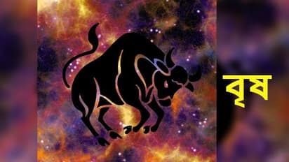 বছরের দ্বিতীয় মাস কেমন কাটবে বৃষ রাশির, দেখে নিন