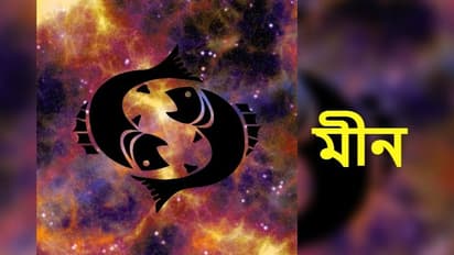 Astrology News: অগ্রহায়ণ মাস কেমন প্রভাব ফেলবে মীন রাশির উপর, দেখে নিন