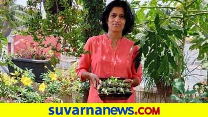 ಮಹಡಿಯಲ್ಲಿ ಮಣ್ಣಿಲ್ಲದೆ ಬೆಳೆದ ಹಣ್ಣು,ತರಕಾರಿಗಳು