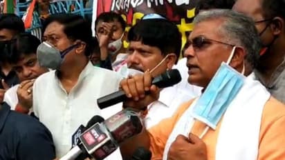 সৎ সাহস থাকলে সিবিআই তদন্ত দিক রাজ্য়, বিজেপি বিধায়ক খুনে মমতাকে চ্যালেঞ্জ দিলীপের