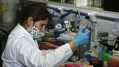 ರೇಬಿಸ್ ಪತ್ತೆಗೆ ಬೀದರ್, ಹಾಸನದಲ್ಲಿ ಪ್ರಯೋಗಾಲಯ ಶುರು