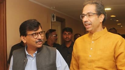 शिवसेना ने सचिन पायलट की तुलना चूहे से की, कहा- वे गहलोत से लड़ाई लड़ मुख्यमंत्री बनना चाहते हैं