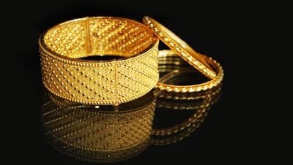 ഓണ്‍ലൈനില്‍ ഫോണ്‍ വാങ്ങി മറിച്ചു വില്‍ക്കാന്‍ സ്വര്‍ണം മോഷ്ടിച്ചു, പ്രതികള്‍ പിടിയില്‍