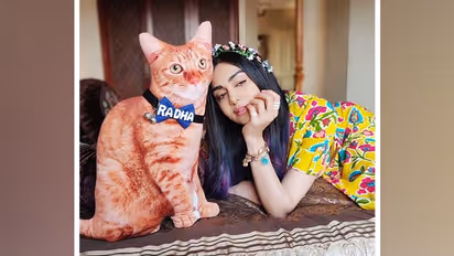 Adah Sharma to create new show? This OTT platform thinks she can and will