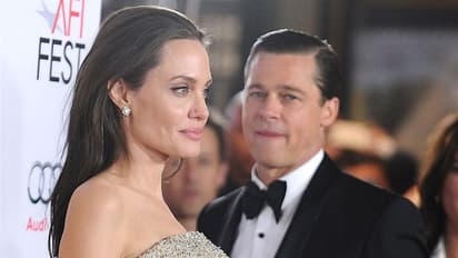 শ্যাটো মিরাভাল ওয়াইনারি মামলায় ব্র্যাড পিটের বিরুদ্ধে জয় অ্যাঞ্জেলিনা জোলির