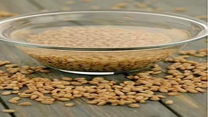 ಈ ಮೂರು ವಸ್ತುಗಳಿದ್ದರೆ ಮನೆಯಲ್ಲೇ ಮಾಡ್ಬಹುದು ಬಿಯರ್‌