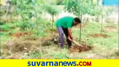 ಸರ್ಕಾರಿ ನಿವಾಸದ ಖಾಲಿ ಜಾಗದಲ್ಲಿ 60 ಬಗೆಯ ಸಸಿ ನೆಟ್ಟ ಅಧಿಕಾರಿ..!