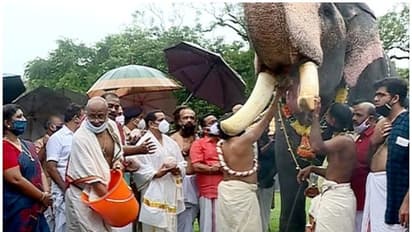 38 വർഷത്തിനിടെ ആദ്യമായി ഒരു ആനയെ മാത്രം പങ്കെടുപ്പിച്ച് തൃശൂര്‍ വടക്കുന്നാഥ ക്ഷേത്രത്തിലെ ആനയൂട്ട്