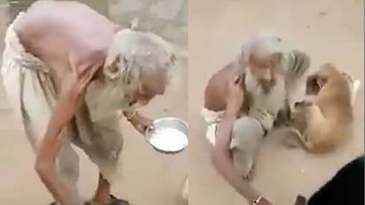 ಬೀದಿ ನಾಯಿಗೆ ತನ್ನ ಆಹಾರ ನೀಡಿದ ವೃದ್ಧ ಭಿಕ್ಷುಕ, ಹೃದಯ ಶ್ರೀಮಂತಿಕೆಗೆ ಸಲಾಂ ಹೇಳಿದ ಜನ!