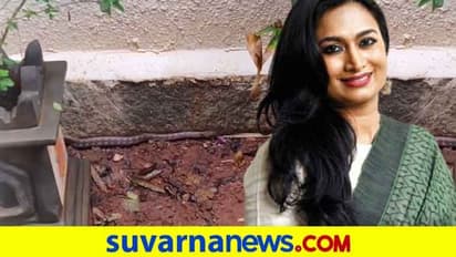 ನಟಿ ಶ್ವೇತಾ ಶ್ರೀವಾತ್ಸವ್ ಮನೆಯಲ್ಲಿ ಹಾವು; ಗಾಬರಿಗೊಂಡ ಪುತ್ರಿ ವರ್ಣಿಸಿದ್ದು ಹೀಗೆ!