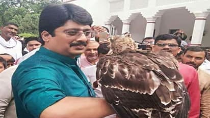 UP Elections 2022: 'রাজা ভাইয়া'-উত্তরপ্রদেশের এই বাহুবলী রাজনীতিতে এসেছিলেন বাবার অমতেই