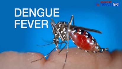 Dengue fever ರಾಜ್ಯದಲ್ಲಿ ಅಕಾಲಿಕ ಮಳೆಯಿಂದ ಡೆಂಘೀ ಕಾಟ ಹೆಚ್ಚಳ!