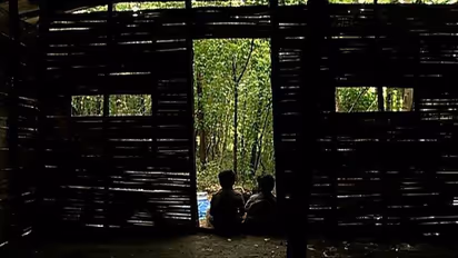 ടിവി അടക്കം സൗകര്യങ്ങളുണ്ട്; പഠിക്കാന് വൈദ്യുതി കണക്ഷൻ കിട്ടാതെ ആദിവാസി ഊരിലെ കുട്ടികൾ