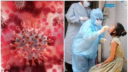 తూర్పు గోదావరిపై కరోనా పంజా: ఏపీలో ఒక్క రోజులో 4 వేలకు చేరువలో కేసులు