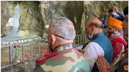 ফাঁস হলো জঙ্গিদের অমরনাথ তীর্থ যাত্রায় হামলার ছক, এর মাঝেই নির্বিঘ্নে পুজো দিলেন রাজনাথ