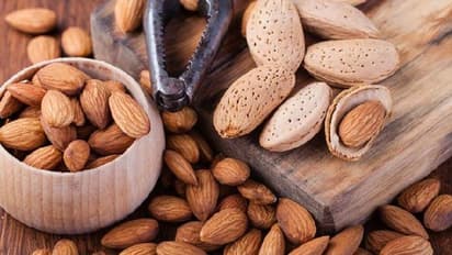 എല്ലാവര്ക്കും ബദാം കഴിക്കാമോ? അറിയാം ഇക്കാര്യങ്ങള്...